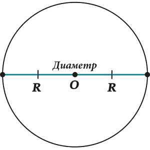 Диаметр делит окружность на две дуги. Диаметр делит круг пополам. Круг делится диаметром пополам. Диаметр делит окружность. Диаметр делит круг пополам Фалеса.