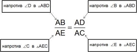 podobie formula proportsiya