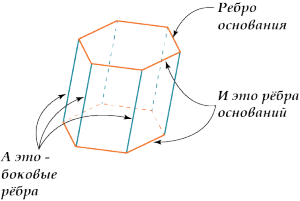 Каким свойствами обладают основания призмы